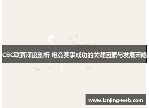 CBC联赛深度剖析 电竞赛事成功的关键因素与发展策略