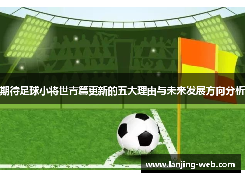 期待足球小将世青篇更新的五大理由与未来发展方向分析
